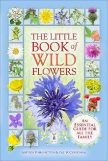 The Little Book of Wild Flowers by Caz Buckingham & Andrea Pinnington