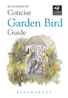 Concise Garden Bird Guide by Bloomsbury