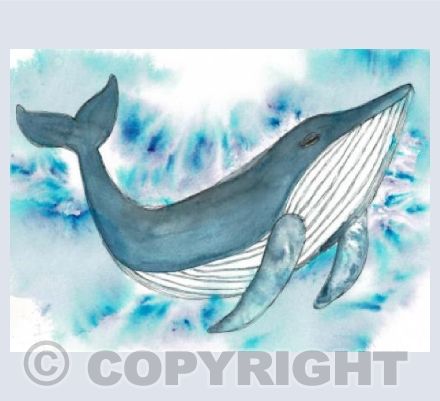 Whale | Small Rectangle Card 