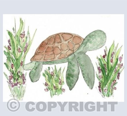 Turtle & Seaweed | Small Rectangle Card 
