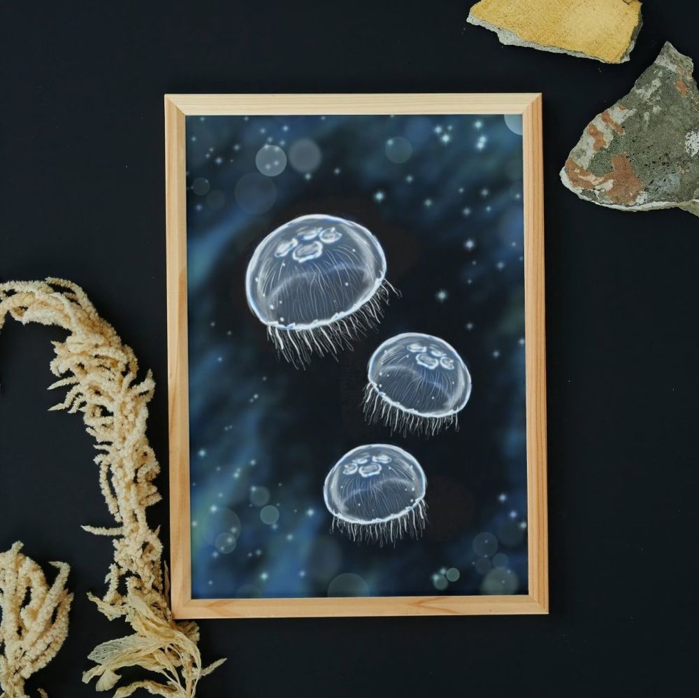 Moon Jellyfish | Art Print | A4