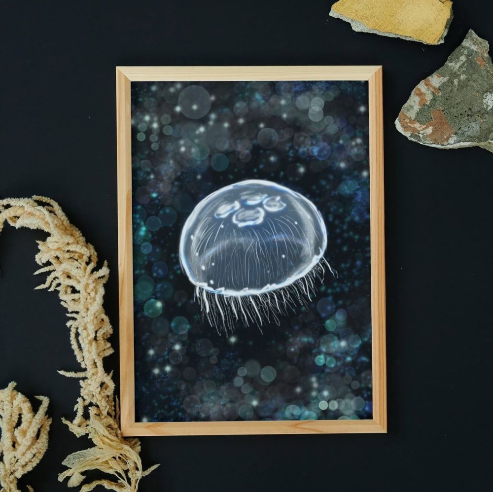 Single Moon Jellyfish | Art Print | A4