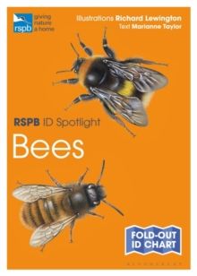 RSPB ID Spotlight - Bees by Marianne Taylor