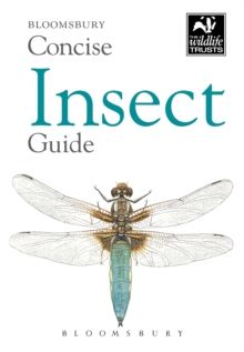 Concise Insect Guide by Bloomsbury