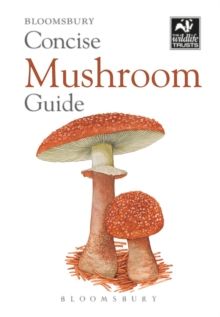 Concise Mushroom Guide by Bloomsbury