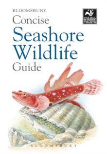 Concise Seashore Wildlife Guide by Bloomsbury