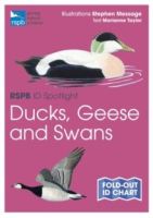 RSPB ID Spotlight - Ducks, Geese and Swans by Marianne Taylor