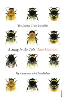 A Sting in the Tale : My Adventures with Bumblebees by Dave Goulson