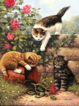 KITTENS AT PLAY SMALL JUNIOR PAINT BY NUMBERS