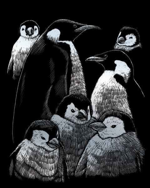 PENGUINS | SCRAPERFOIL | SILVER | by Royal & Langnickle