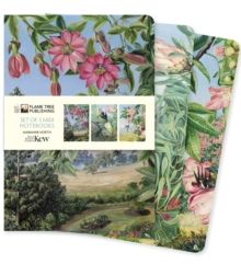 Kew Gardens: Marianne North Set of 3 Midi Notebooks by Flame Tree Studio