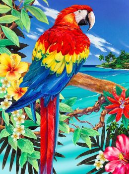SCARLET MACAW SMALL JUNIOR PAINT BY NUMBERS by Royal & Langnickle