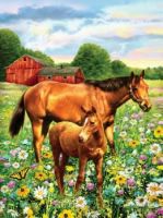HORSE IN FIELD SMALL JUNIOR PAINT BY NUMBERS by Royal & Langnickle