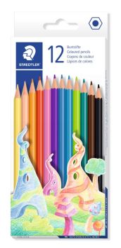 STAEDTLER COLOURING PENCIL 12PK