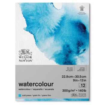 COLD PRESSED WATERCOLOUR GUMMED PAD 23 x 31cm (9" x 12") by Winsor & Newton