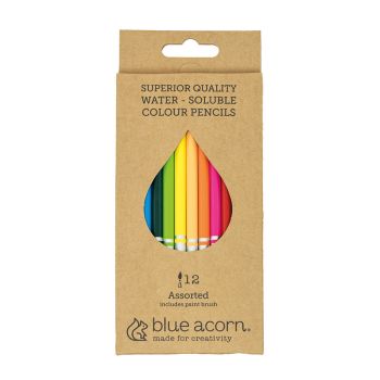 BLUE ACORN 12 WATERSOLUBLE PENCIL ASSORTED COLOURS