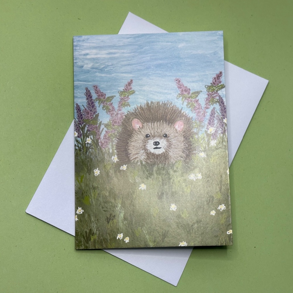 Hedgehog in a meadow | Greetings Card
