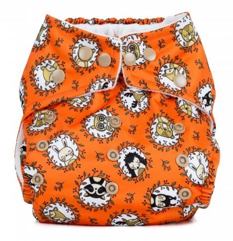 Baba and Boo One Size Pocket Nappy (Enchanted Woods)