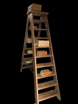 SOLD Superb set of vintage library ladders