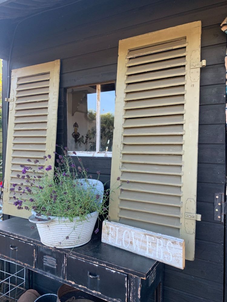 Pair of old french shutters