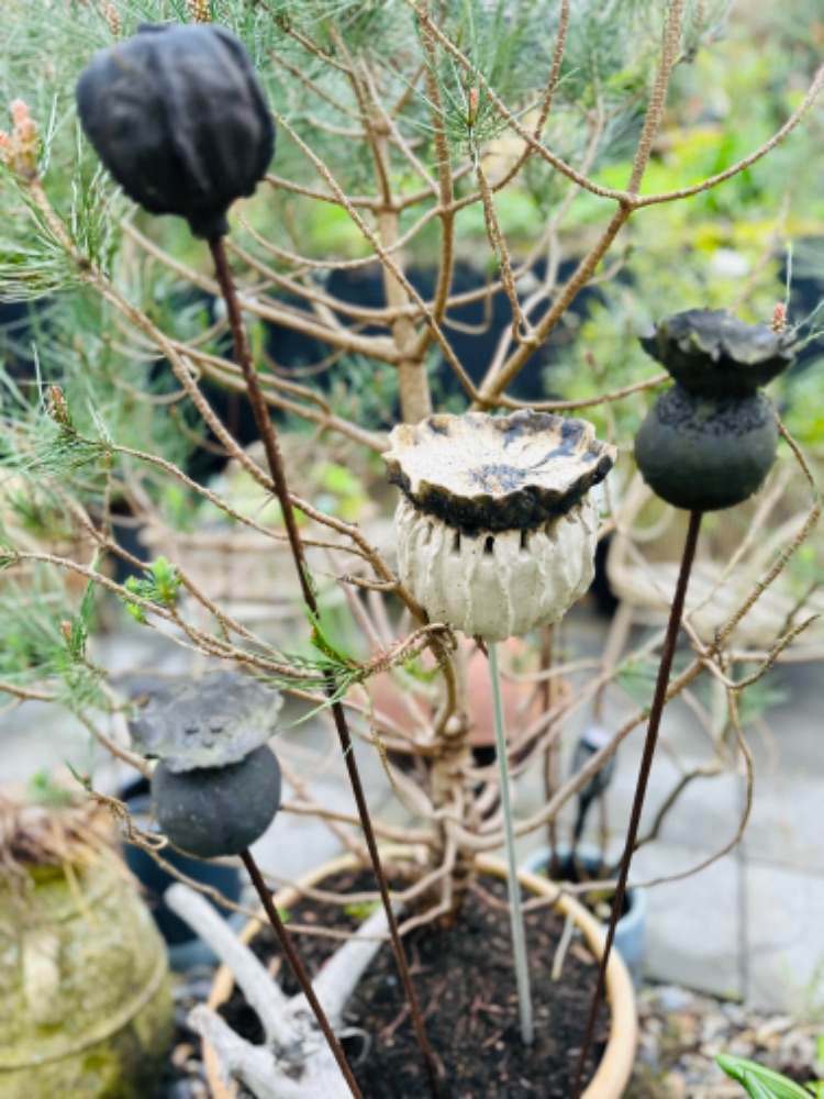 Ceramics for the Garden