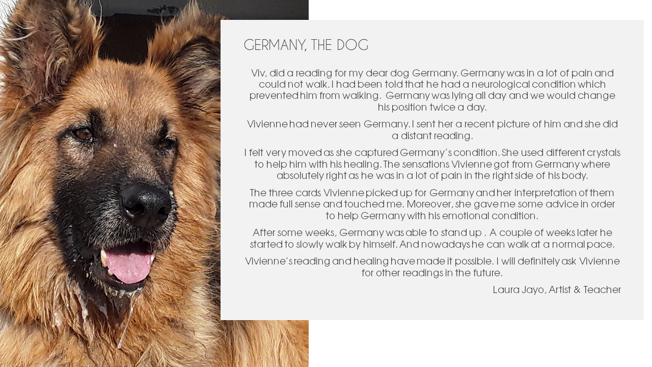 Germany the dog