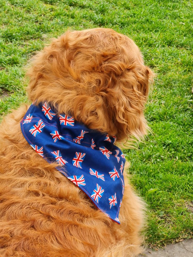  Union Jack flag dog bandana