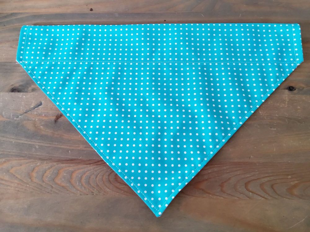 Turquoise green polka dog bandana
