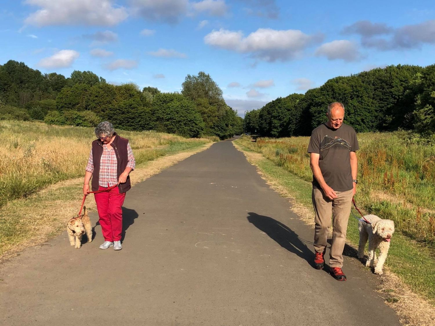 One to One Dog Training Newcastle