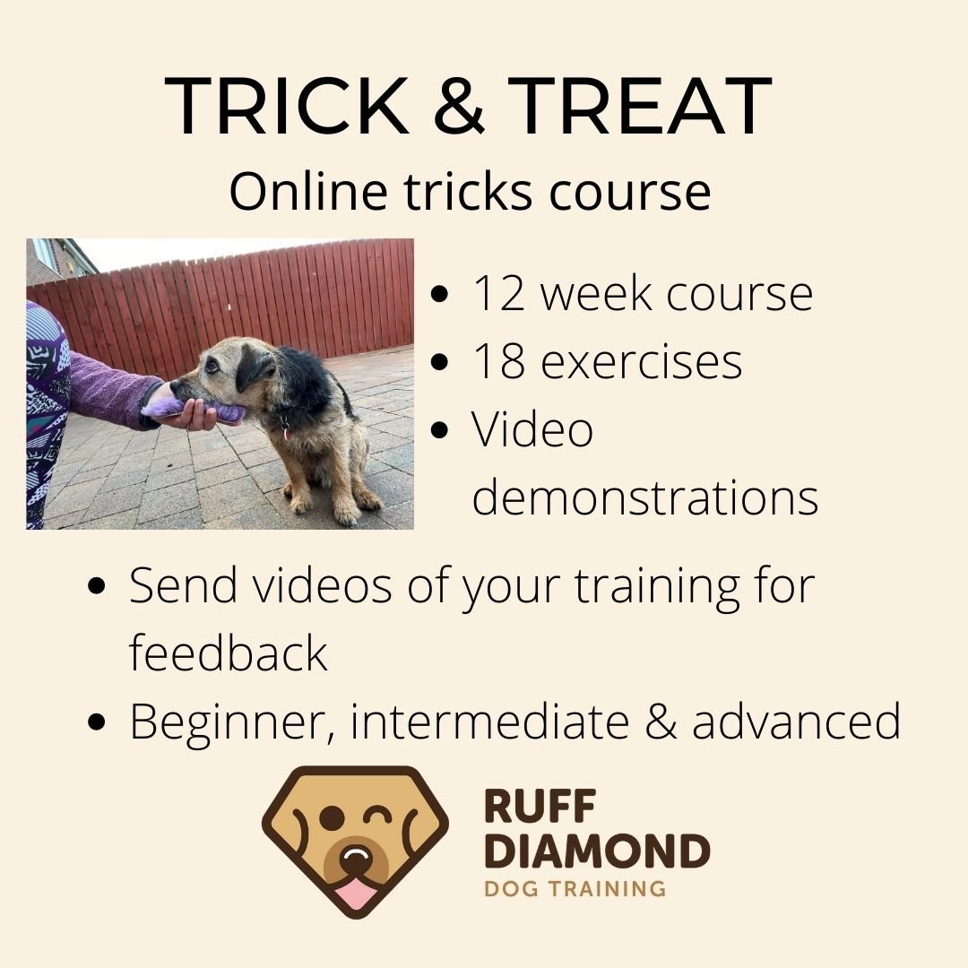 Trick Training Online Course