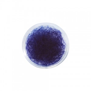 Royal Blue Lashes - Pot 1g