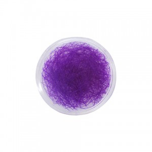 Purple Lashes - Pot 1g