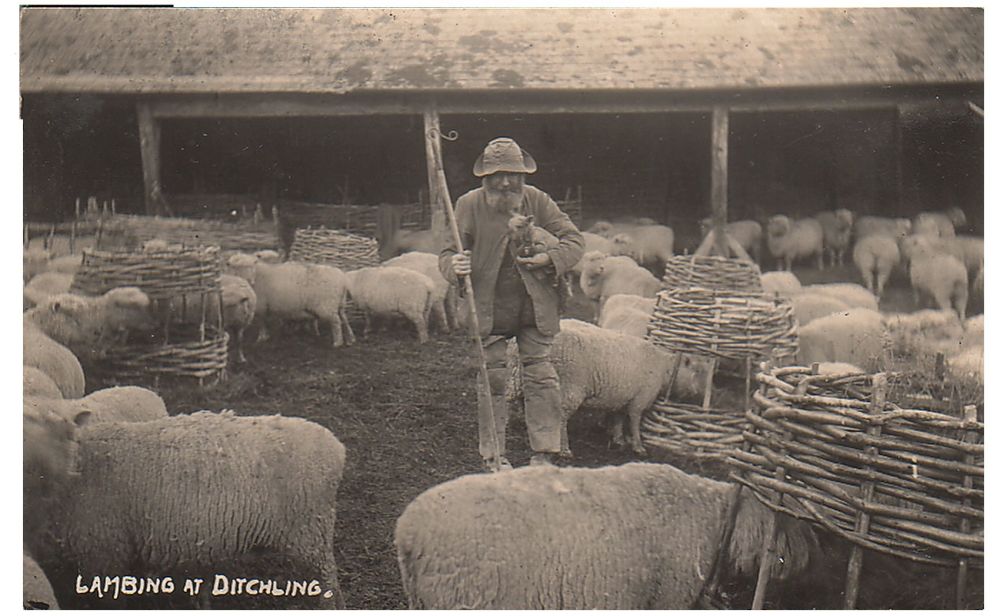 About Ditchling History Project 20