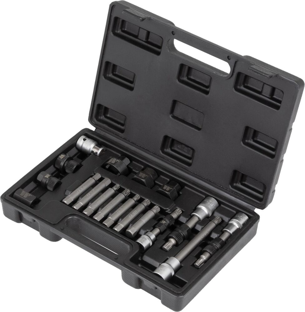 WELZH 18-Piece Alternator Pulley Bit Set 1078-WW