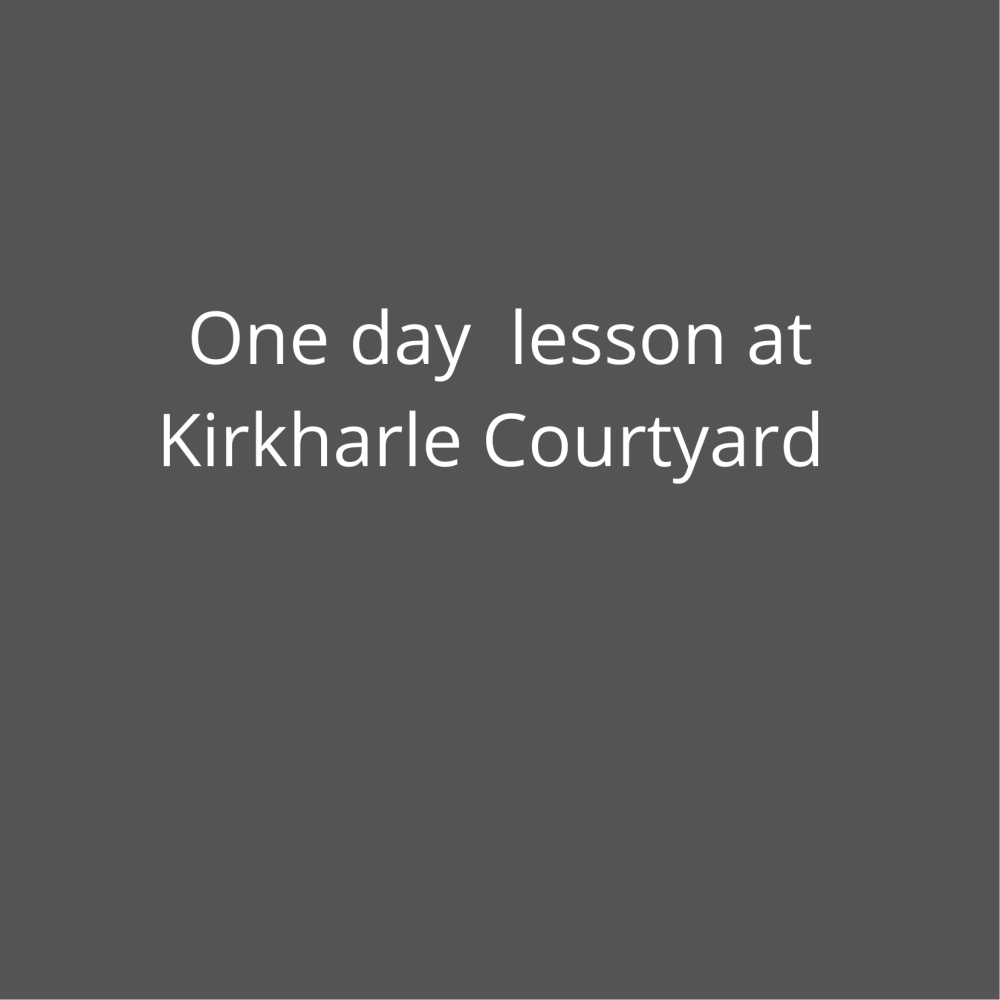 Special offer: One day session 1 to 1 at Kirkharle Courtyard