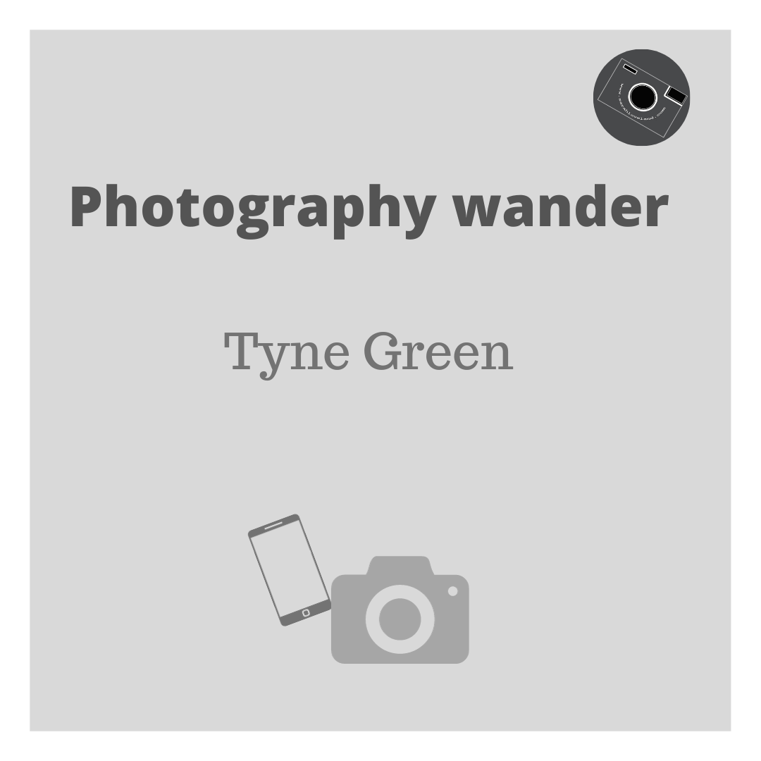 Photography wander Tyne Green