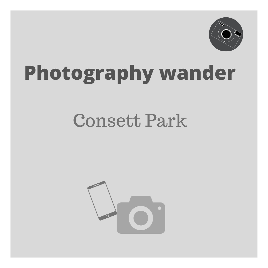 Photography wander Consett Park