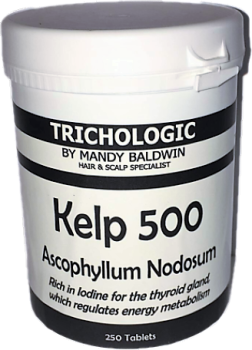 Tablets Kelp 500 - Ascophyllum Nodosum
