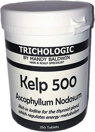 Tablets Kelp 500 - Ascophyllum Nodosum