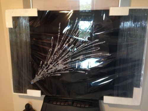 Champagne Explosion in Silver on a Black Bevelled Mirror