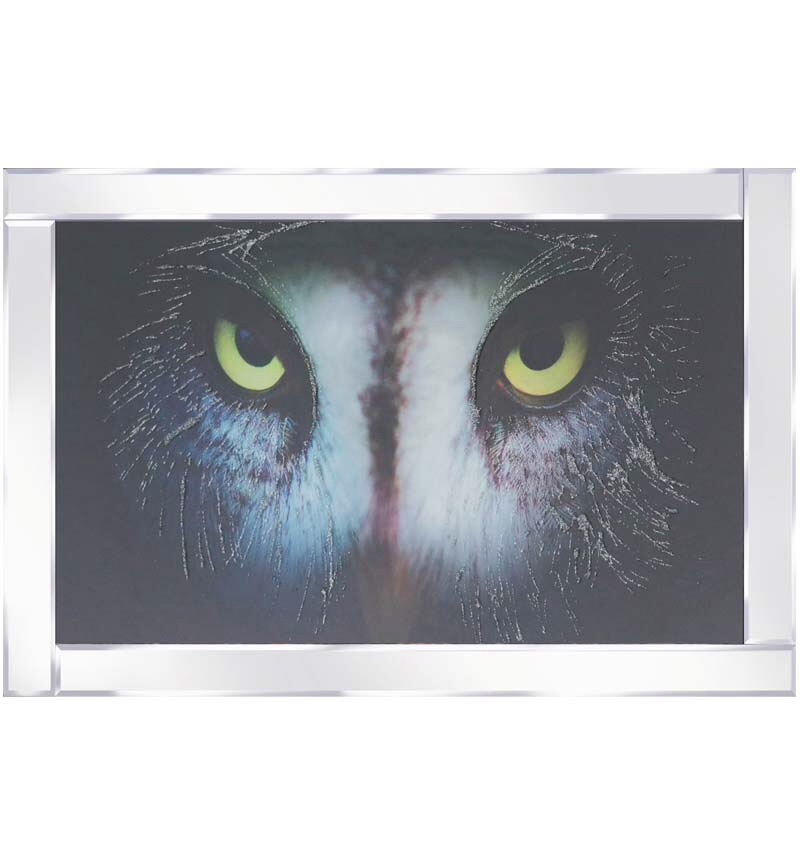 Mirror framed art print "Night Owl"