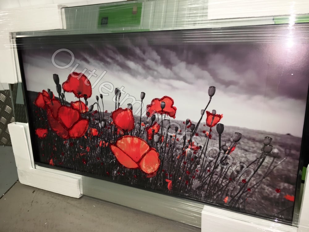 Mirror framed art print "Poppy Field" 