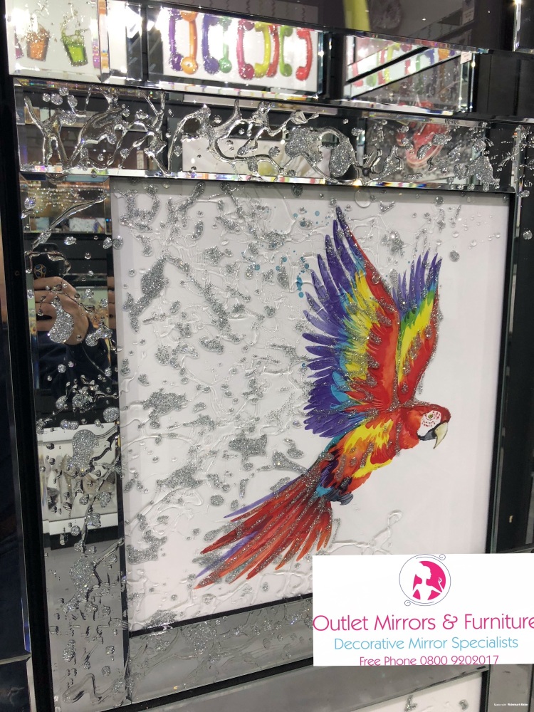 Mirror framed Liquid art Colourful Parrot 60cm x 60cm