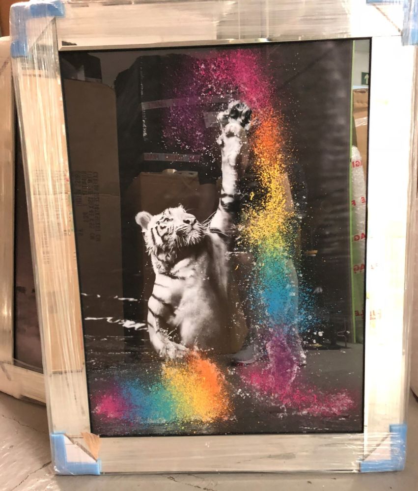Mirror framed "colourful Tiger" Wall Art