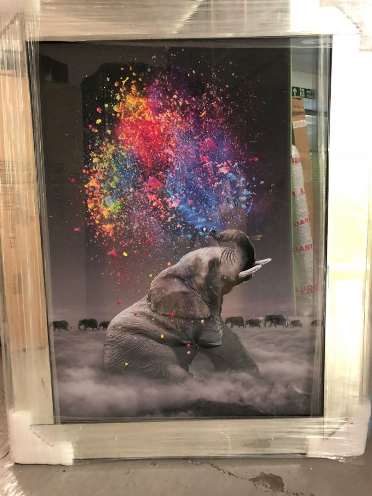 Mirror framed "colourful Elephant" Wall Art