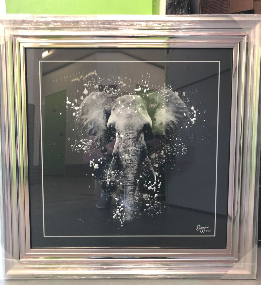framed art print "Elephant" in a silver Chrome stepped frame 75cm x 75cm