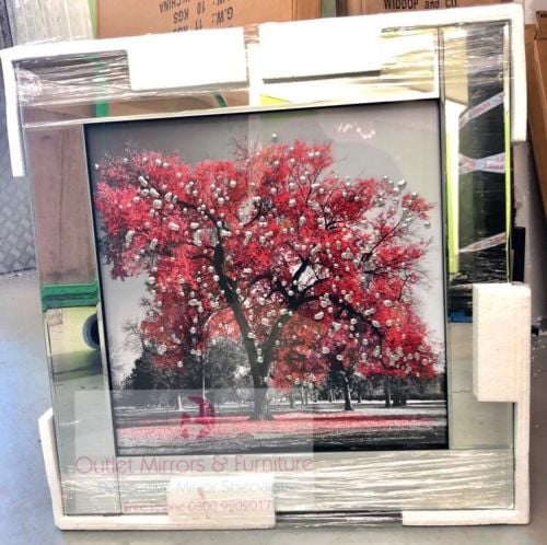 Mirror framed art print