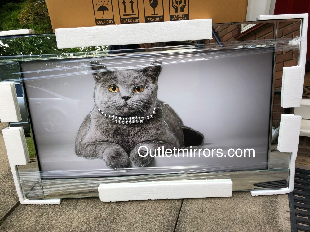 Mirror framed art print " Sparkle Cat" 100cm x 60cm 