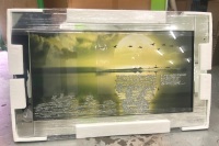 Mirror framed "Sparkle Flying Gesse Sunset" Wall Art  in stock