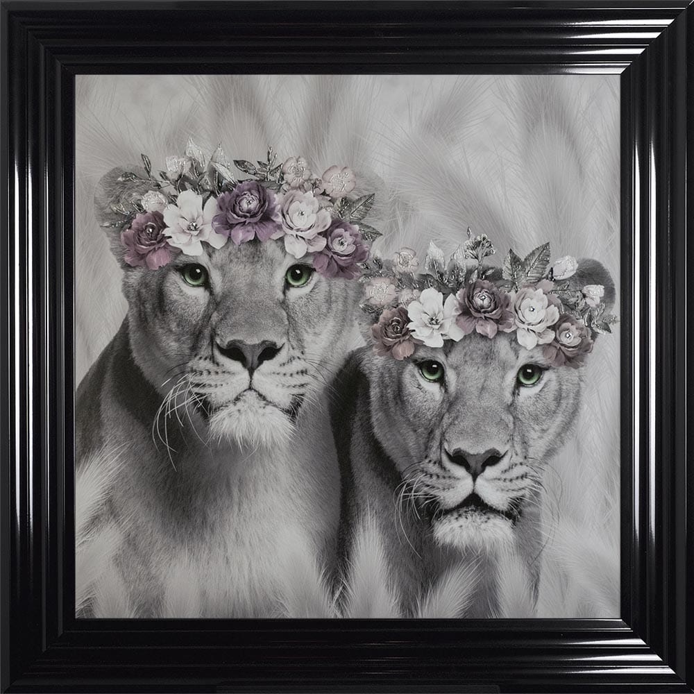 # Lion Queens in a Choice of Frame colours & 4 size options